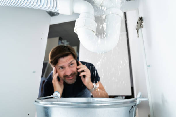 Best Plumbing Repair Near Me  in Three Lakes, FL